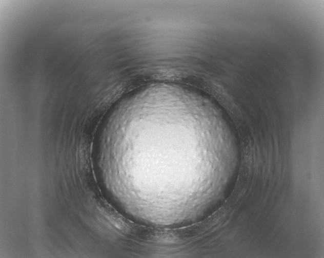 X0000077990322200611171801