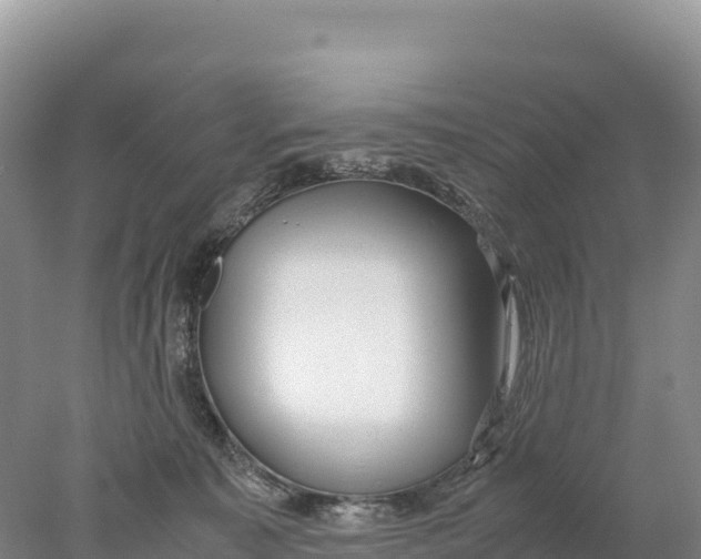 X0000077990323200611171801