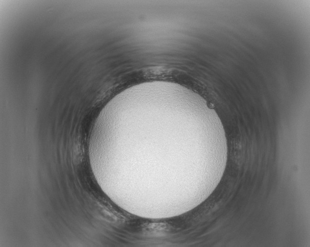 X0000077990324200611171801