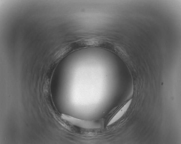 X0000077990325200611171801