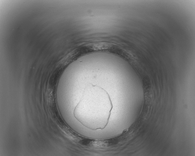 X0000077990327200611171801