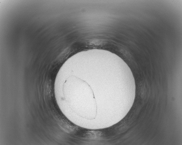 X0000077990328200611171801