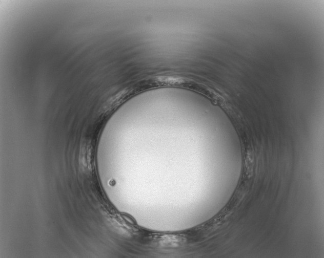 X0000077990330200611171801