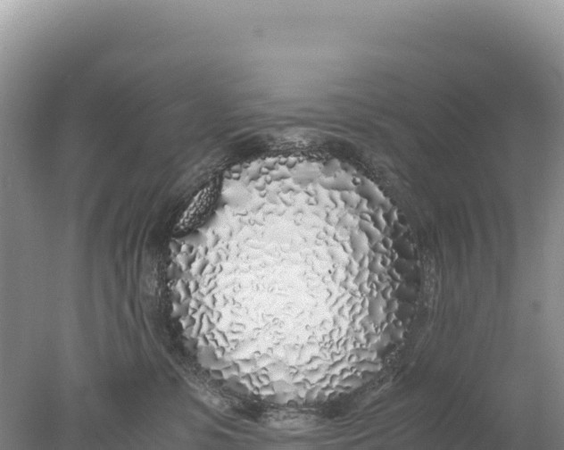 X0000077990331200611171801