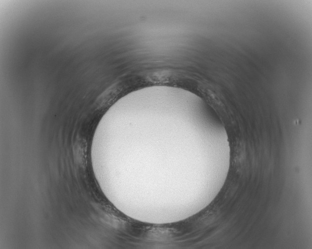 X0000077990332200611171801