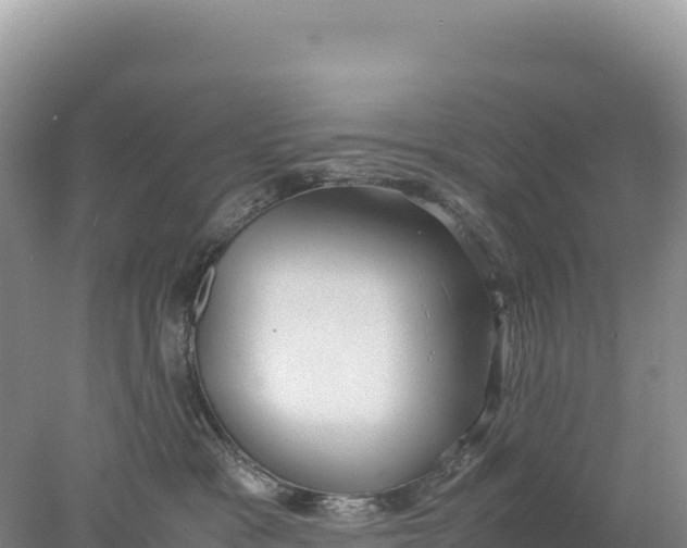 X0000077990333200611171801