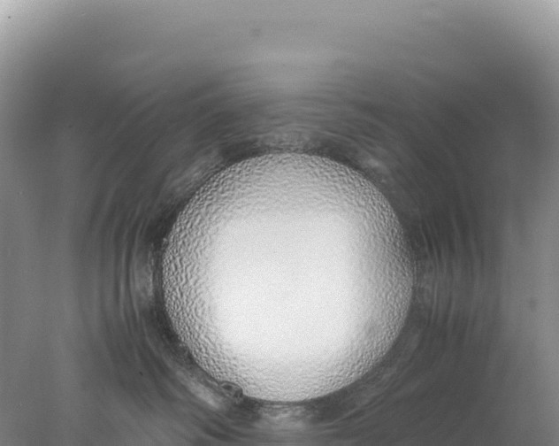 X0000077990334200611171801