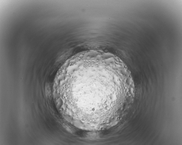 X0000077990335200611171801