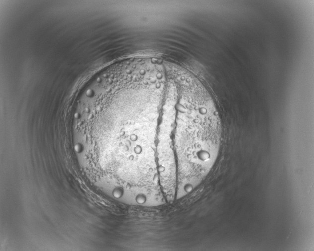 X0000077990337200611171800