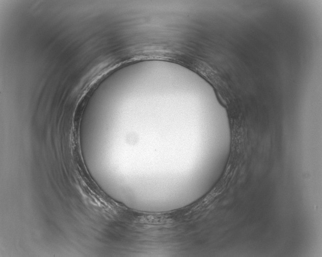 X0000077990338200611171800