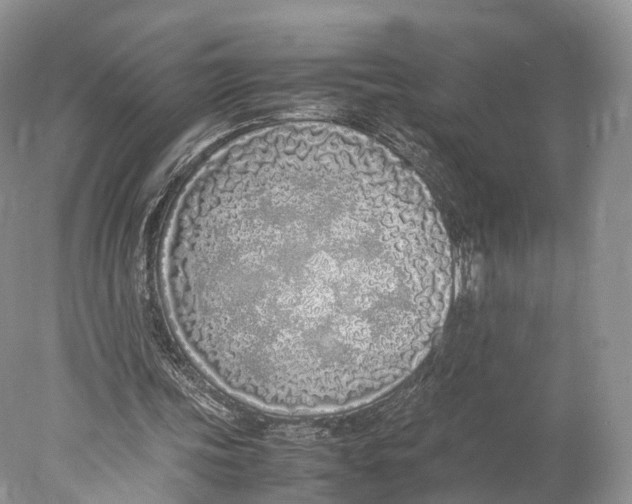 X0000077990339200611171800