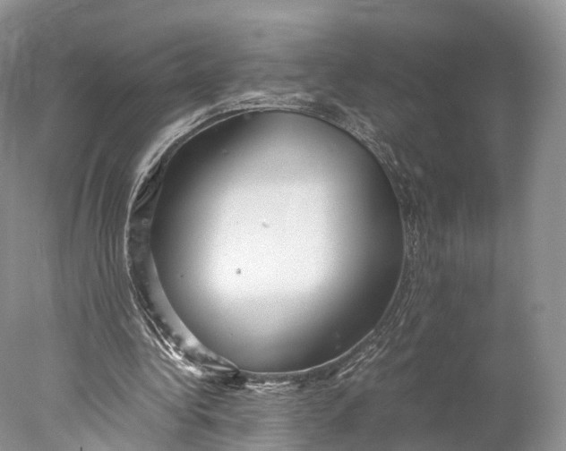 X0000077990340200611171800