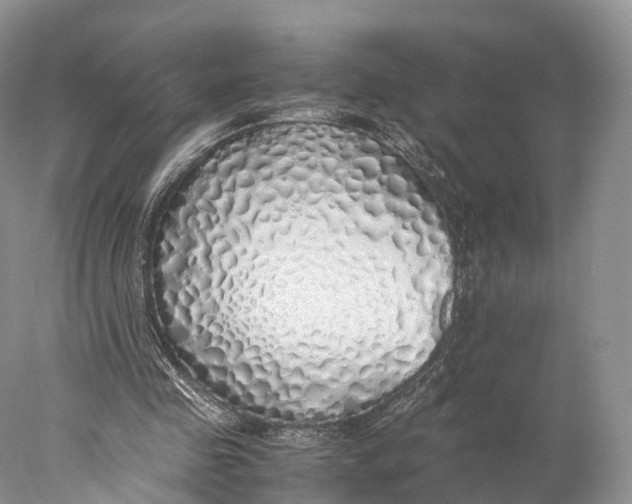 X0000077990341200611171800