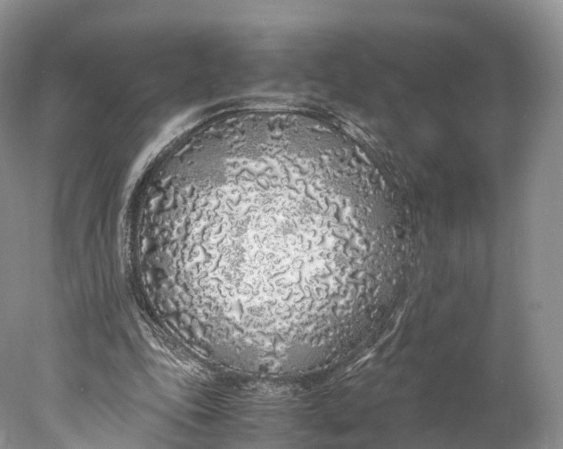 X0000077990343200611171800