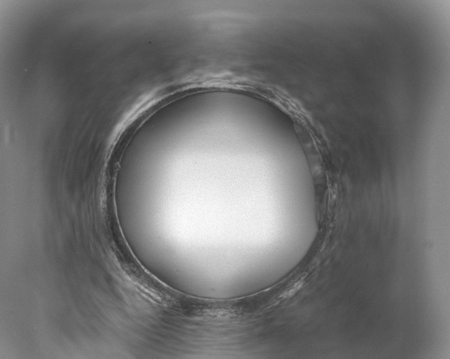 X0000077990344200611171800