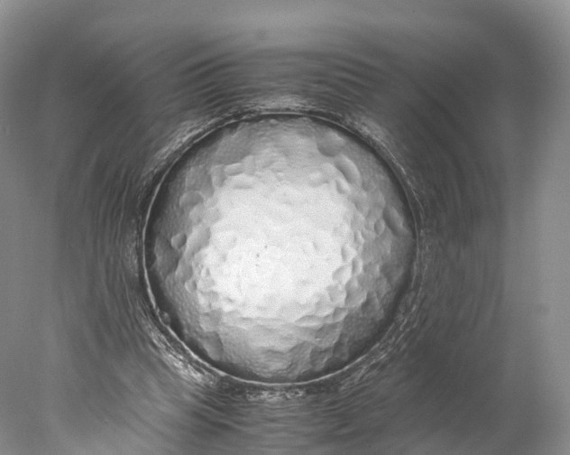 X0000077990345200611171800