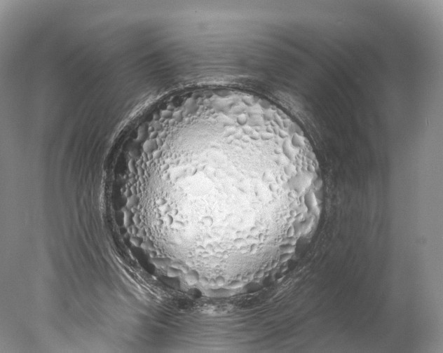 X0000077990346200611171800