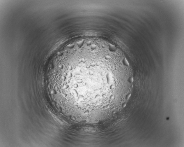 X0000077990347200611171800