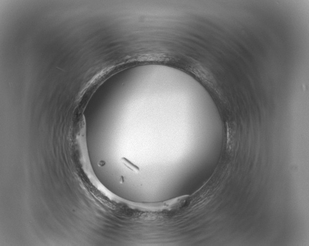 X0000077990348200611171800