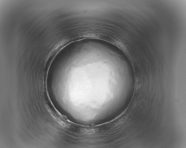 X0000077990349200611171800