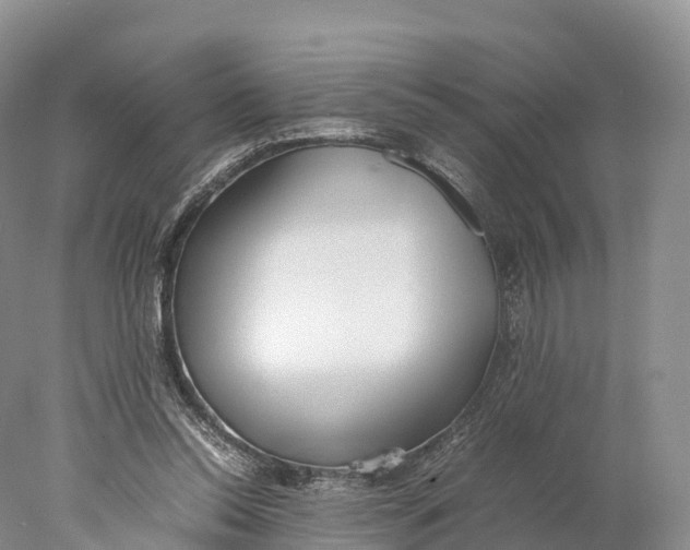 X0000077990350200611171800