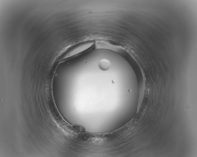 X0000077990352200611171800