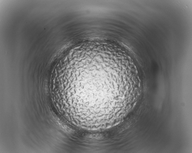 X0000077990353200611171800