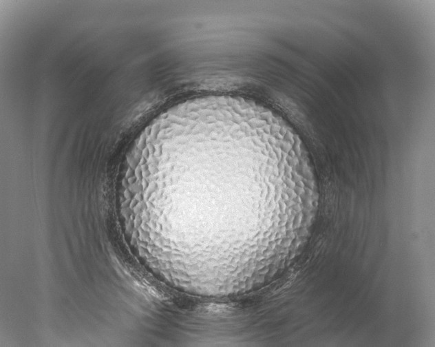 X0000077990354200611171800