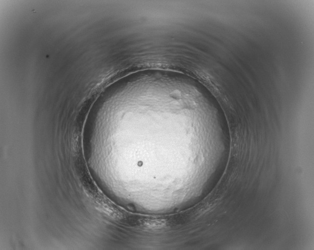 X0000077990355200611171800