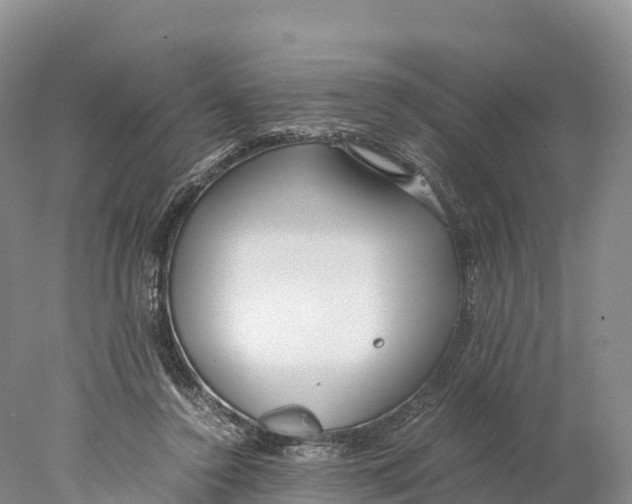 X0000077990356200611171800