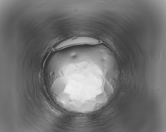 X0000077990357200611171800