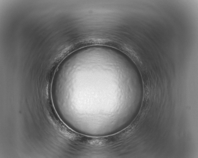 X0000077990358200611171800