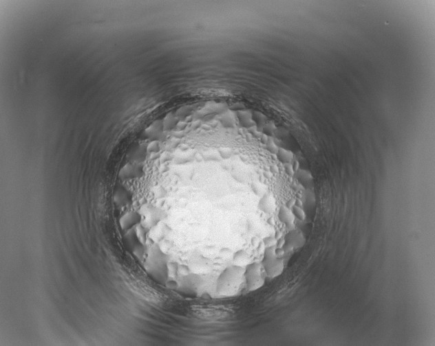 X0000077990359200611171800