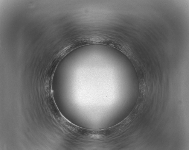 X0000077990360200611171800