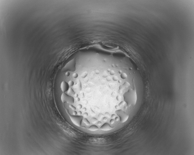 X0000077990361200611171800