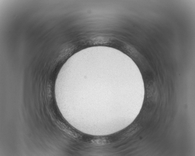 X0000077990362200611171800