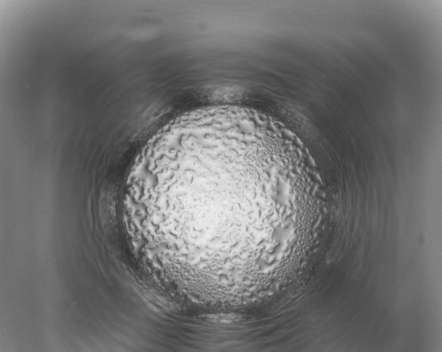 X0000077990363200611171800