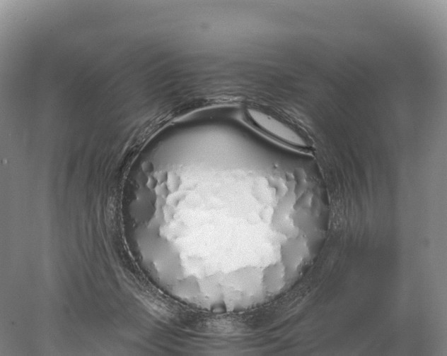 X0000077990365200611171800