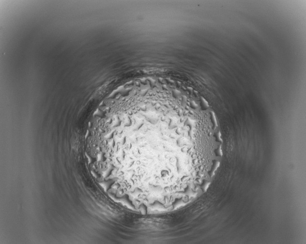 X0000077990367200611171800