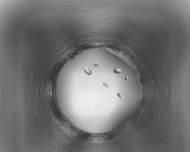 X0000077990368200611171800