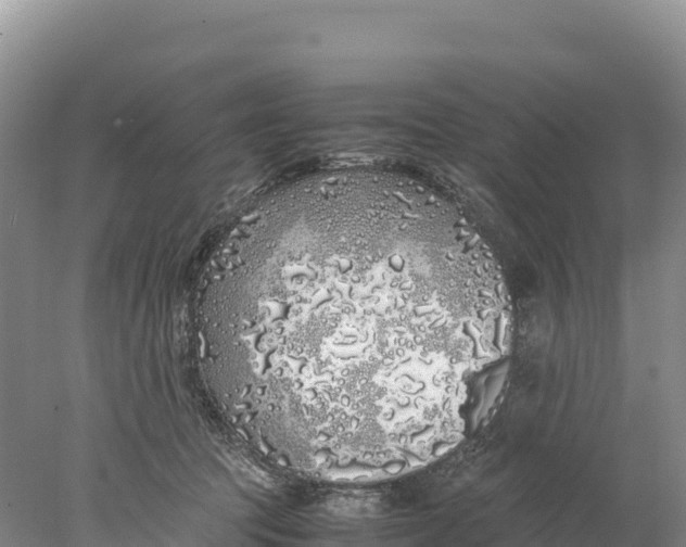 X0000077990369200611171801