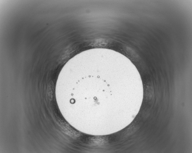 X0000077990370200611171801