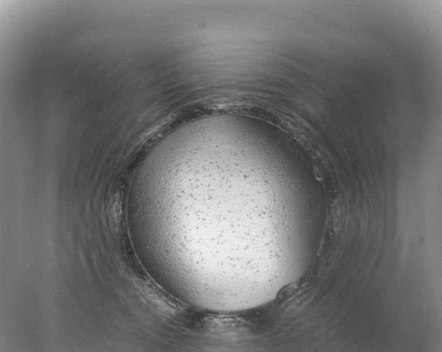 X0000077990372200611171801