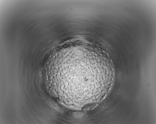 X0000077990373200611171801