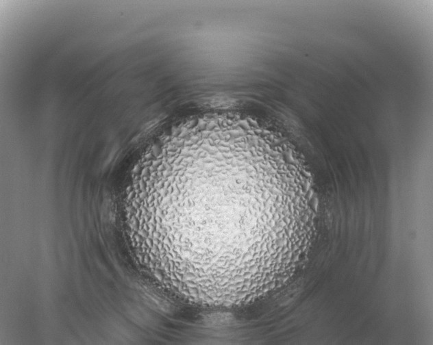 X0000077990374200611171801