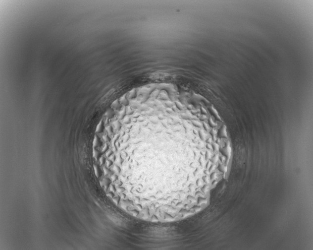 X0000077990375200611171801