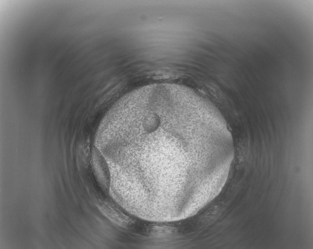 X0000077990376200611171801