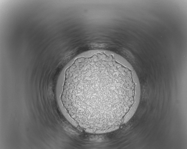 X0000077990377200611171801