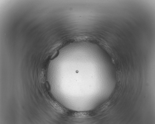 X0000077990378200611171801