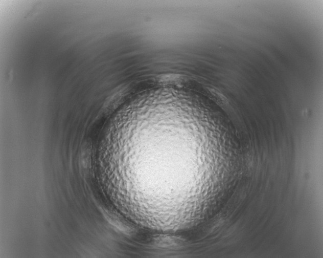 X0000077990379200611171801